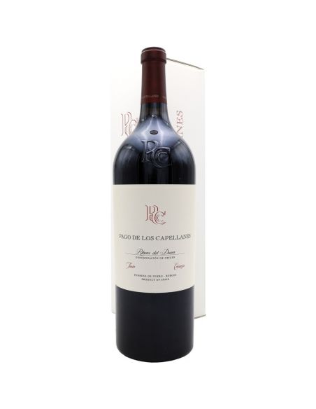 PAGO DE LOS CAPELLANES CRIANÇA MAGNUM 2021 NEGRE