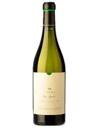 CASA AGRICOLA ECO 2023 BLANC