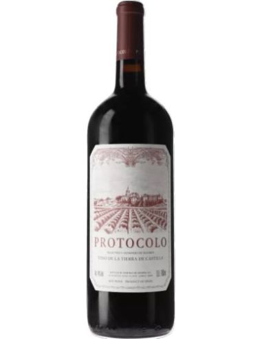 Vi de castilla protocolo magnum negre