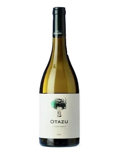 Vi de navarra otazu chardonnay blanc