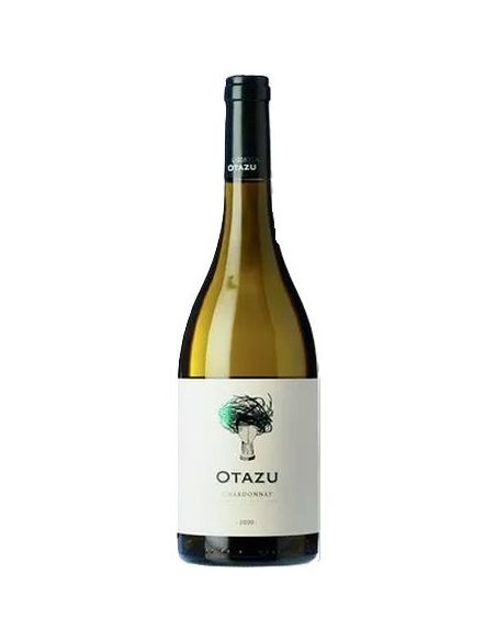 Vi de navarra otazu chardonnay blanc