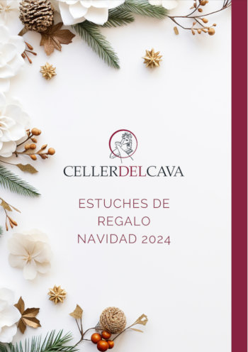 Portada Lotes de Navidad 2024